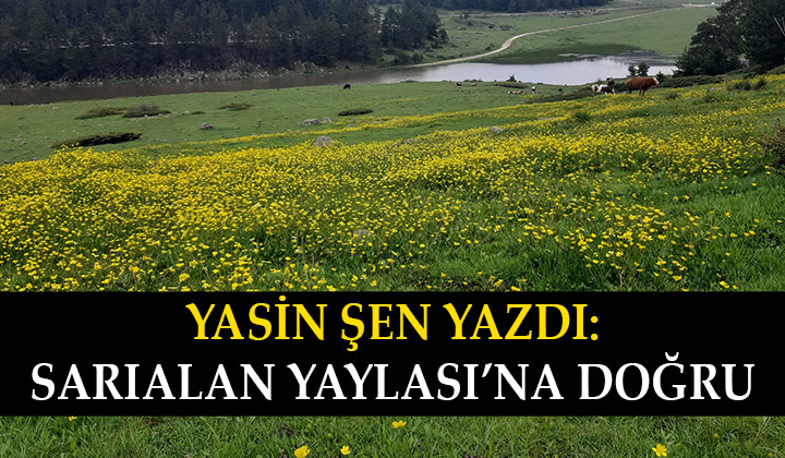 Sarıalan Yaylası’na Doğru