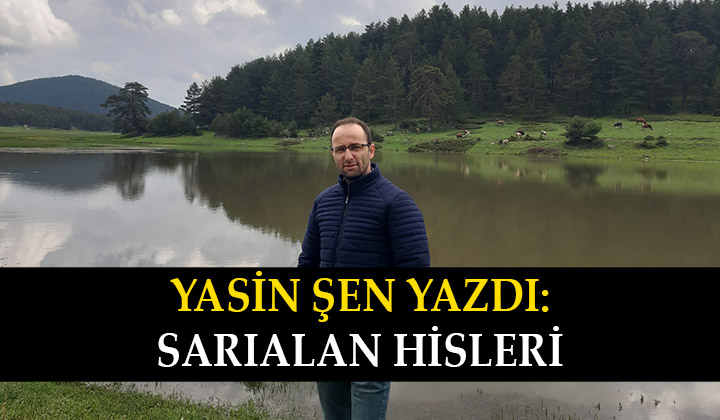 Sarıalan Hisleri