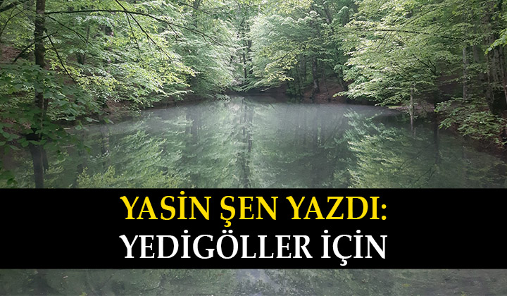 Yedigöller için