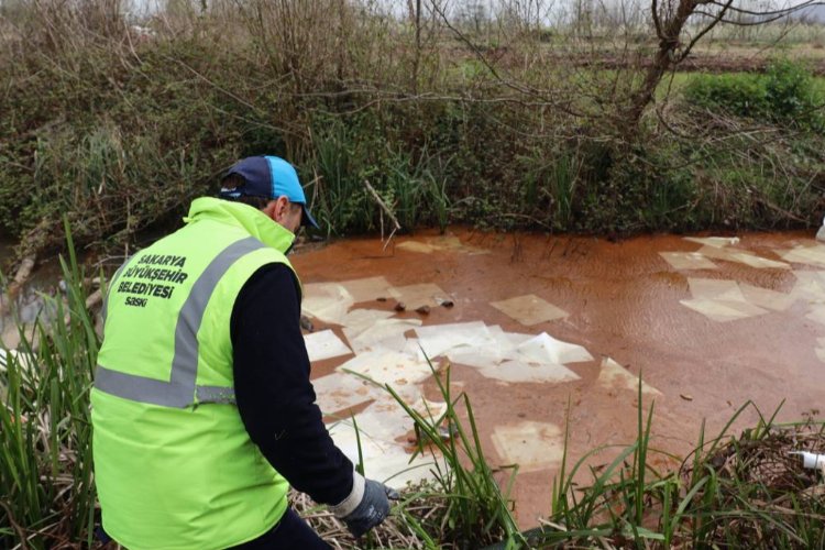 Sapanca Gölü’nde aralıksız çalışma – İGF HABER