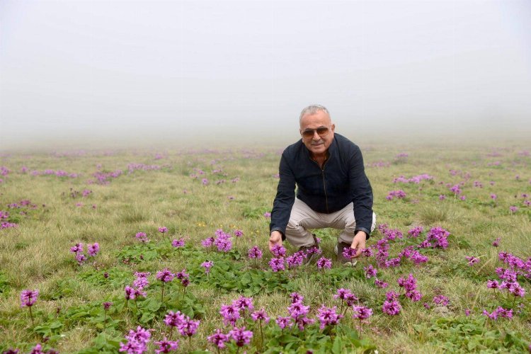 Başkan Güler:”Göndeliç, sayılı turizm merkezlerinden biri olacak”