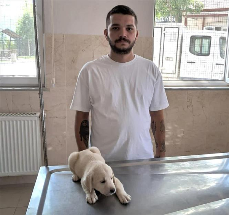 İnegöl'de 266 sokak hayvanı sahiplendirildi