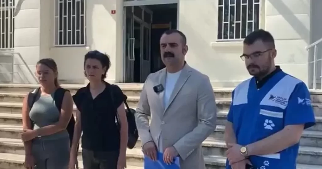 Uzunköprü’de hayvan katliamı! – İGF HABER