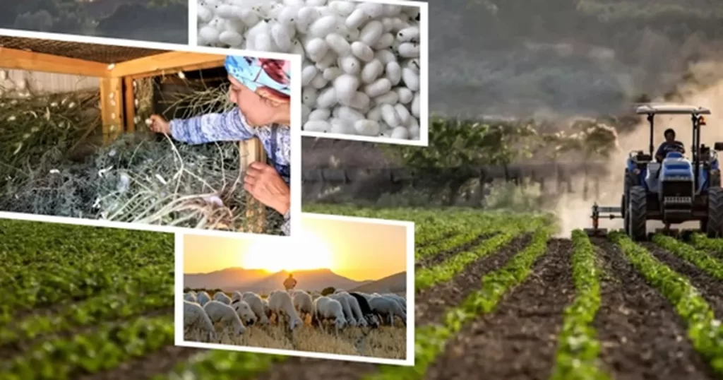 406,6 milyon TL’lik tarımsal desteklemeler hesaplarda