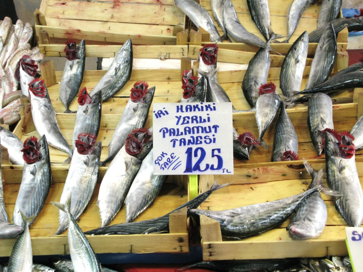 Yenişehir’de balıkçı tezgâhları şenlendi