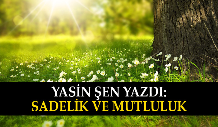 Sadelik ve Mutluluk