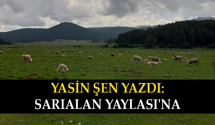 Sarıalan Yaylası’na