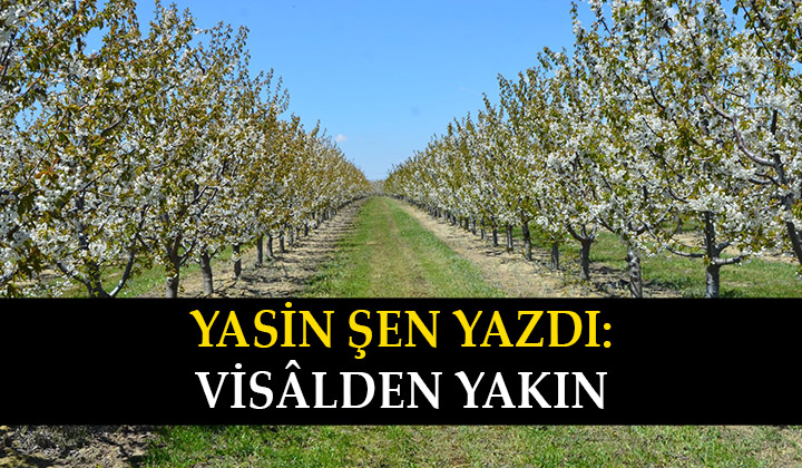 Visalden Yakın