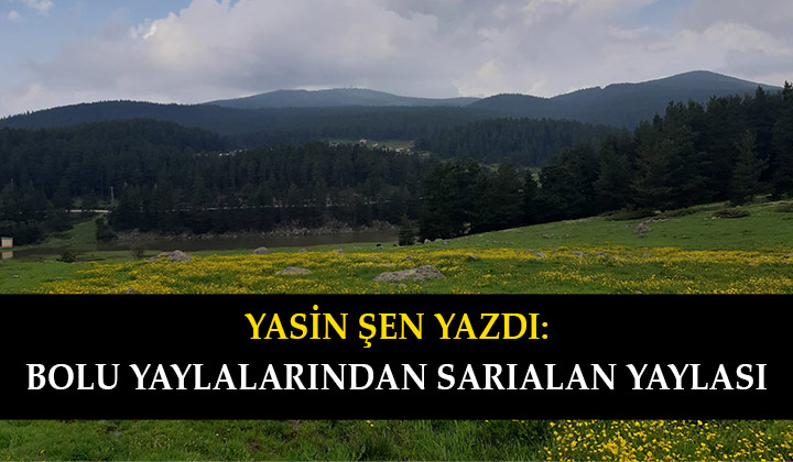 Bolu Yaylalarından Sarıalan Yaylası