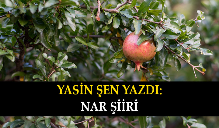Nar Şiiri