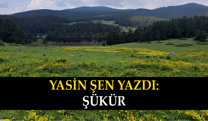 Şükür