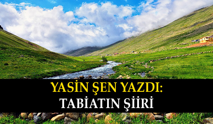Tabiatın Şiiri