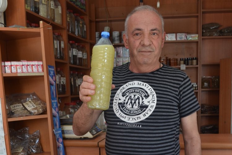 Kanser tedavisine bitkisel takviye – İGF HABER