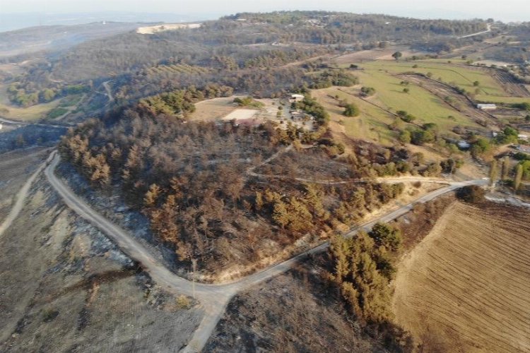 Yangınlar kontrol altına alındı – İGF HABER