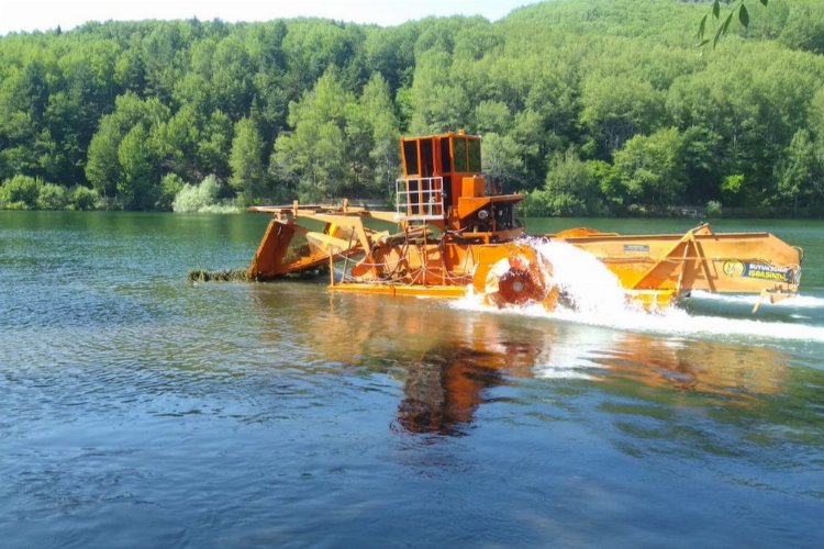 Göletlerde hasat zamanı – İGF HABER