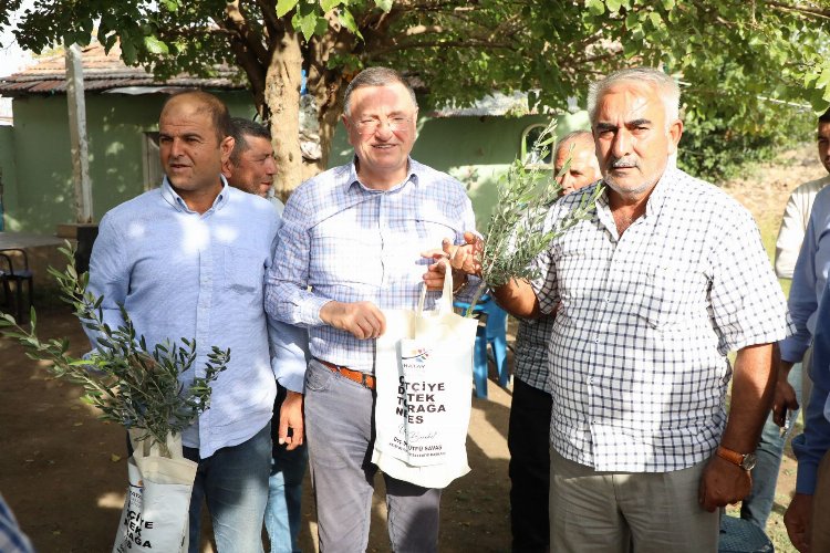 Hatay’da 50 bin çiftçiye meyve fidesi