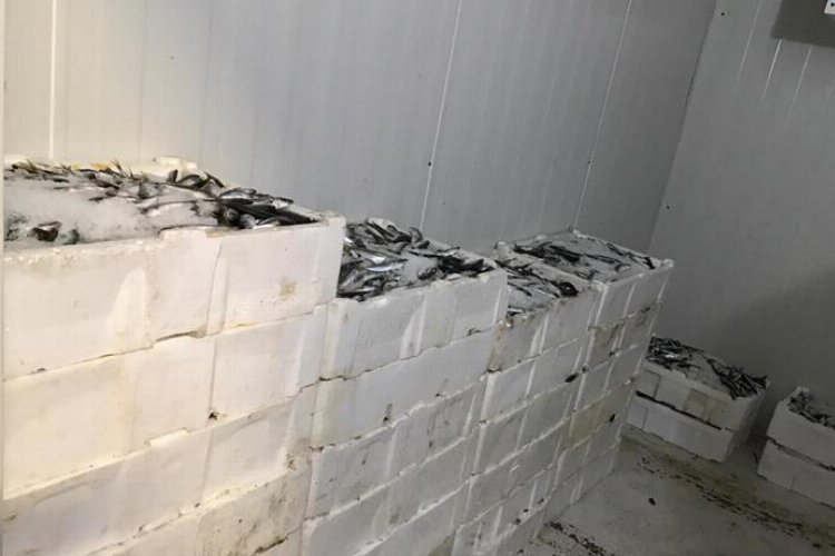 Bursa Balık Hali’nde sıkı denetim