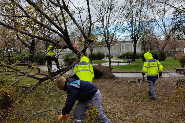 Bursa Yıldırım’da lodosla etkin mücadele