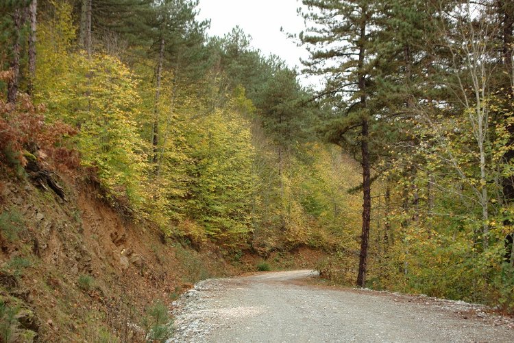 Küçükelmalı Tabiat’ta sonbahar – İGF HABER