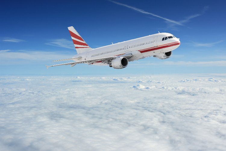 Manisa Zeytinliova’da dere temizliği