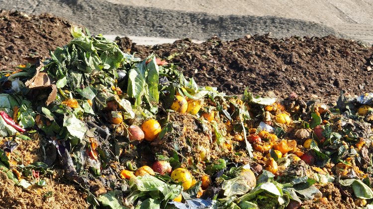 Konya Selçuklu'ya en iyi 'sürdürülebilirlik' ödülü