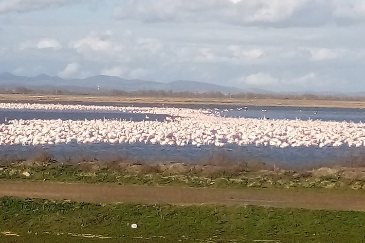 İpsala’da görsel şölen – İGF HABER