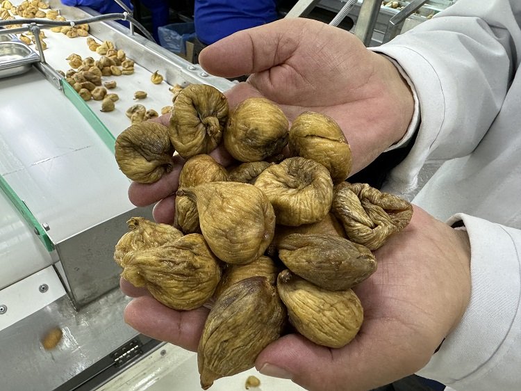 Türkiye organik ürün ihracatında 1 milyar dolar sınırını aştı