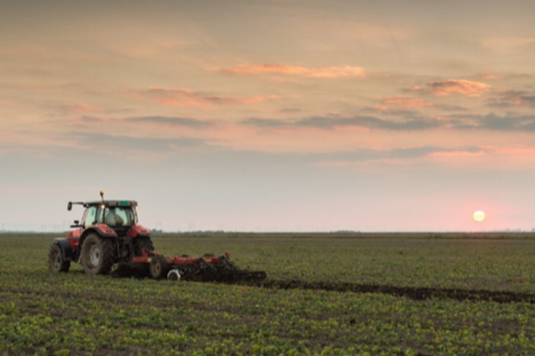 Atıl araziler üretime kazandırılıyor – İGF HABER
