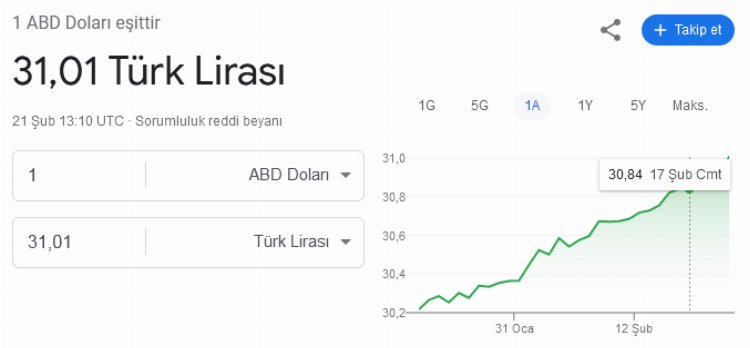 Dolar 31 TL'yi aştı!