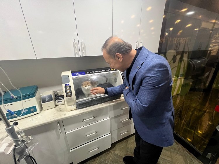 Sakat kediye büyükşehir adayı Erin sahip çıktı