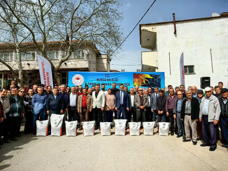 Bursa'da İrfaniyeli üreticilere ayçiçeği tohumu desteği