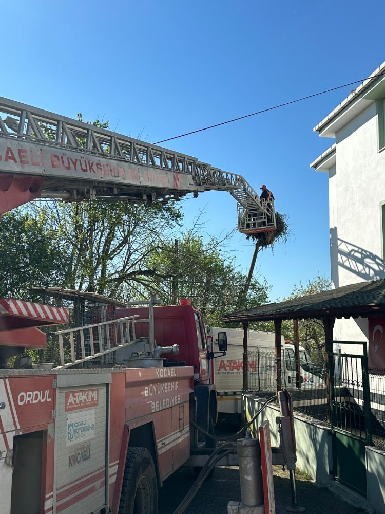 Leyleklerin yuvası yıkılmaktan kurtarıldı