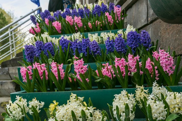 Kayseri bayrama rengarenk girdi – İGF HABER