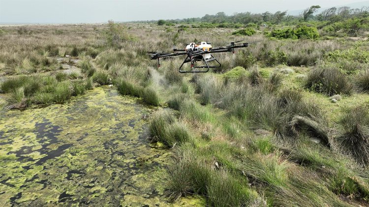 Bursa'da sinekle teknolojik mücadele