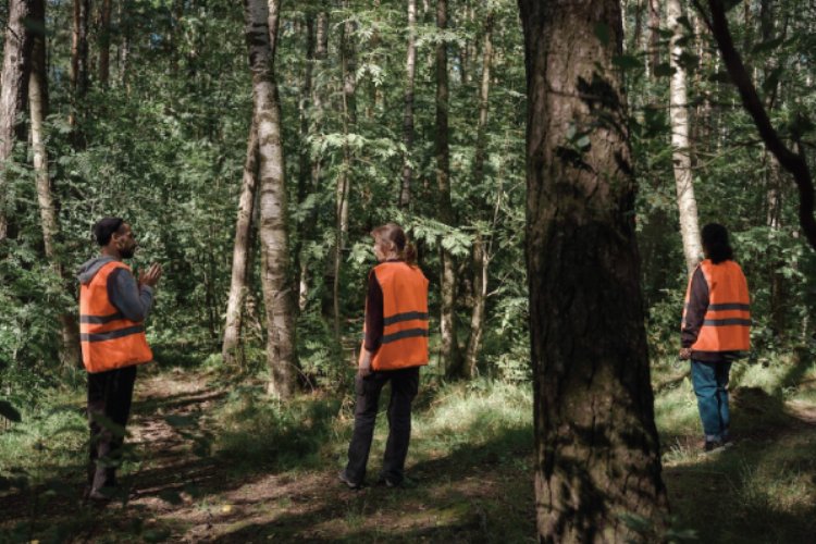 Düzce’de arama kurtarma tatbikatı – İGF HABER