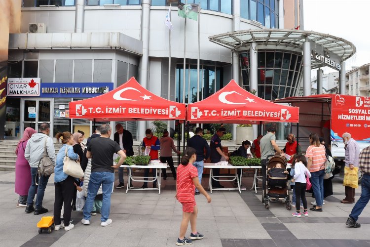 İzmit'te tarımsal kalkınmaya fide desteği