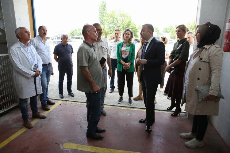 Nilüfer Kaymakamı Süzen’den Kurban Bayramı hazırlıklarına inceleme