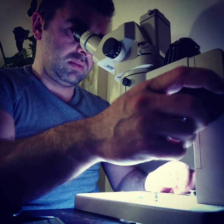 Yaban Hayatı Derneği: "Soruşturmanın takipçisi olacağız"