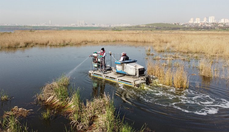 İstanbul'a sivrisineklerle mücadele çalışmaları yoğunlaştı