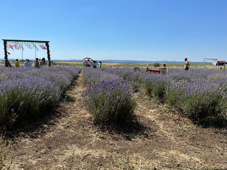 Siğilli Lavanta Bahçesi'ne bayramlık akın