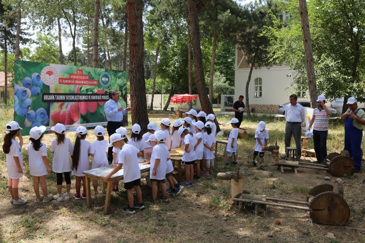 Bursa’da ‘organik tarım’ minik ellere emanet