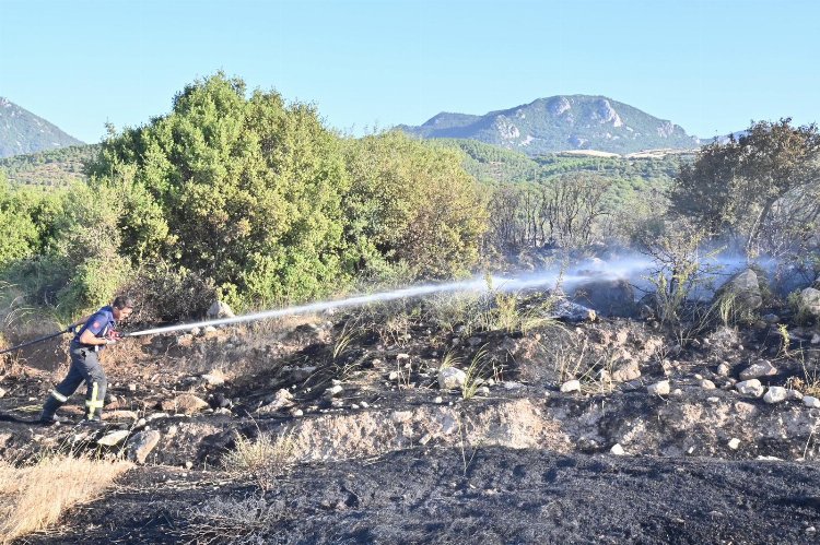 Manisa Büyükşehir İtfaiyesi yangınlarla mücadelesine devam ediyor