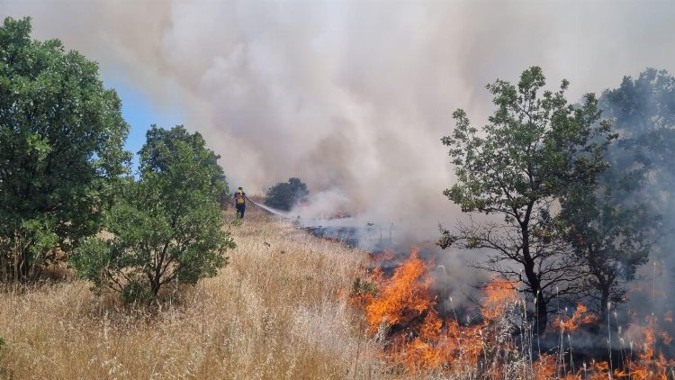 Manisa'da ormanlık alanı tehdit eden yangın