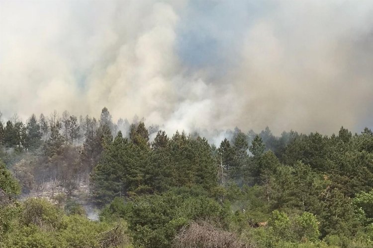 Spil’deki yangın kontrol altında – İGF HABER