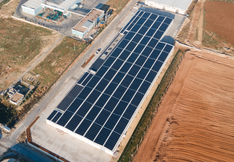 CW Enerji geleceği yeşil enerji ile şekillendirmeye devam ediyor