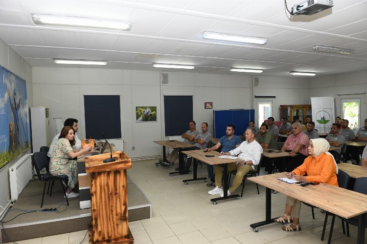 Bursa Osmangazi'de personele 'Hayvanları Koruma Kanunu' eğitimi