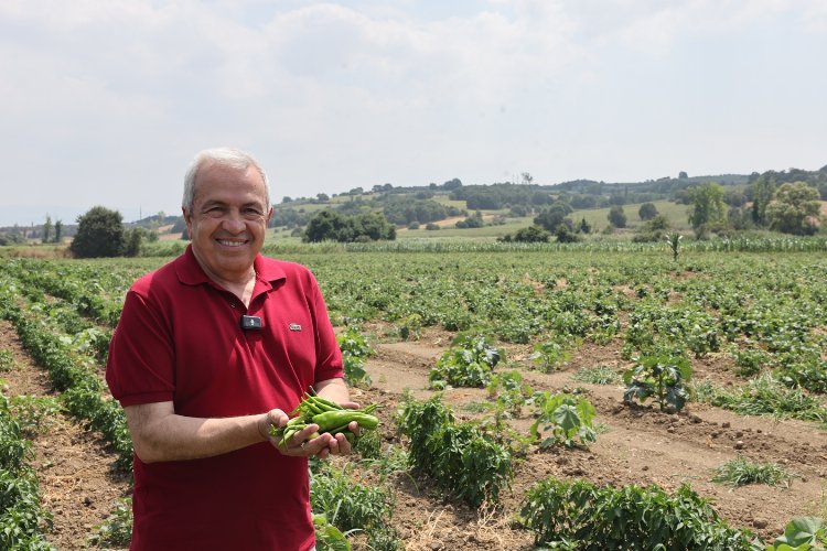 Bursa’da Nilüfer tarımsal üretimde – İGF HABER