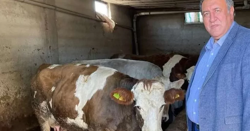 CHP’li vekil Gürer: Ağustos’ta süt krizi yaşanmasın!