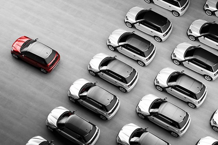 Filolarda büyüme beklentisi artışta – İGF HABER