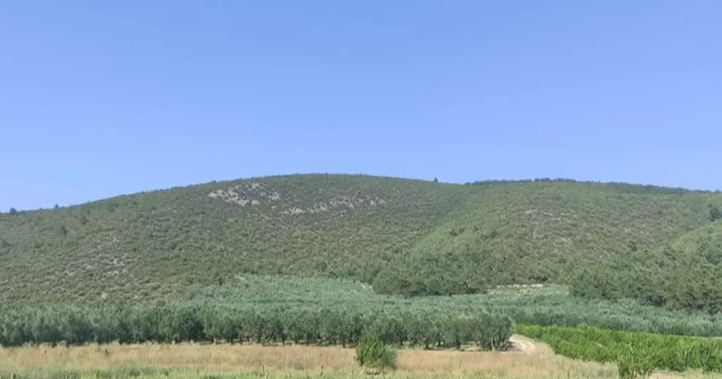 Proje Evi Kooperatifi ‘ANATOLiVAR’kapsamında Bursa’da